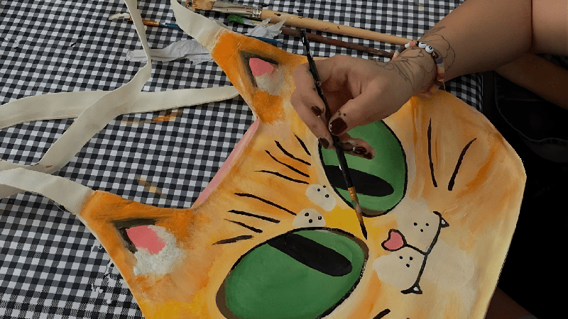 Color Transformation with Cat Bag (4)